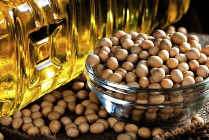 Туреччина залишається ключовим ринком збуту української сої