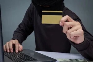 Голова Держаудитслужби «піймала» кібершахраїв і здала поліції