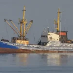 Україна направила Ізраїлю запит про арешт російського судна з краденим зерном